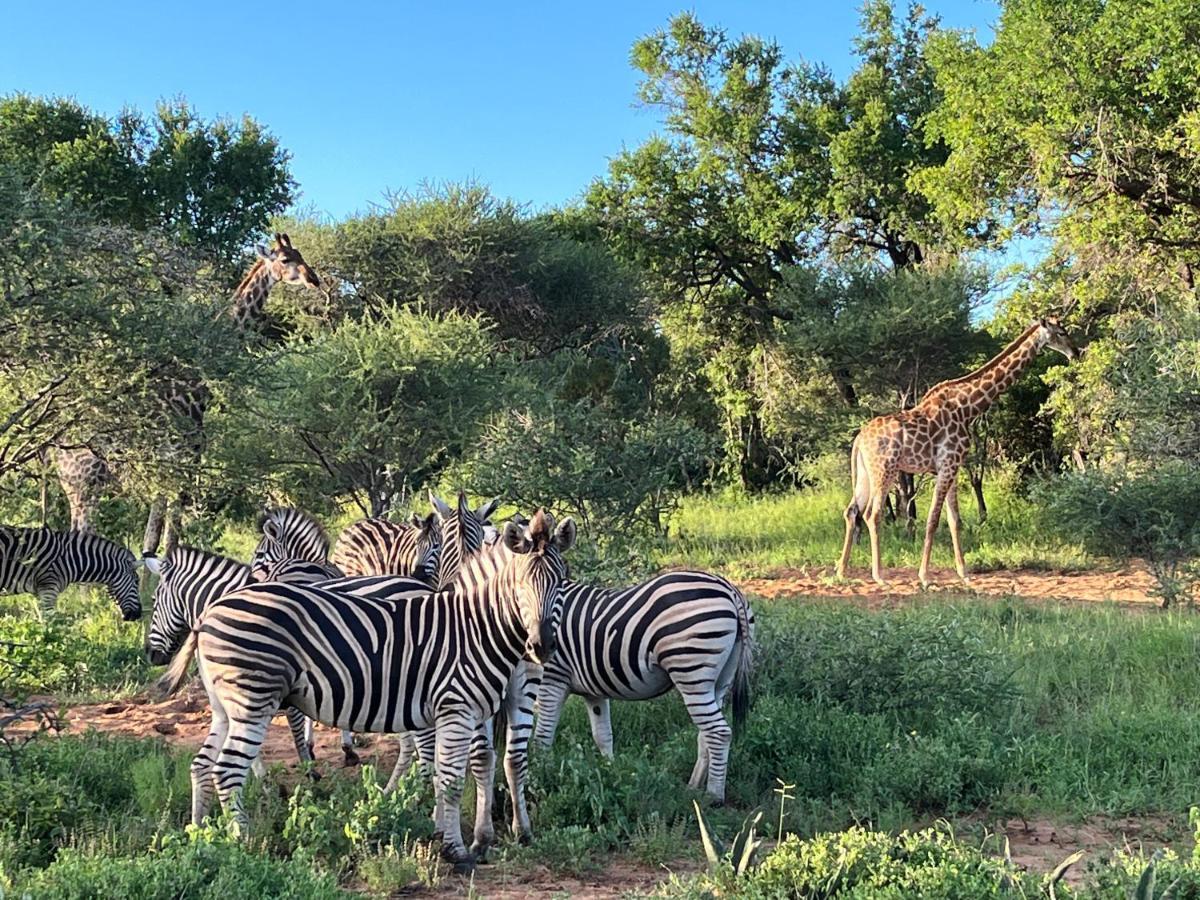 Alojamento de Turismo Selvagem Lindiwe Safari Hoedspruit