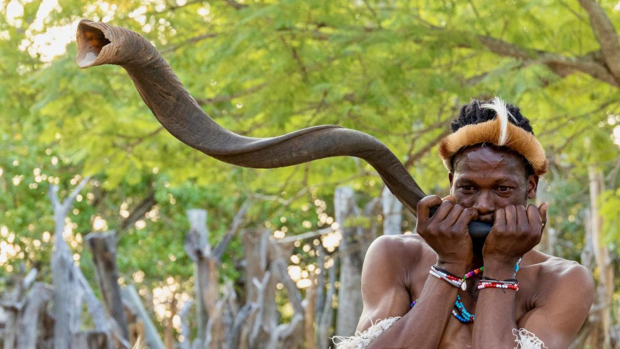 Alojamento de Turismo Selvagem Lindiwe Safari *