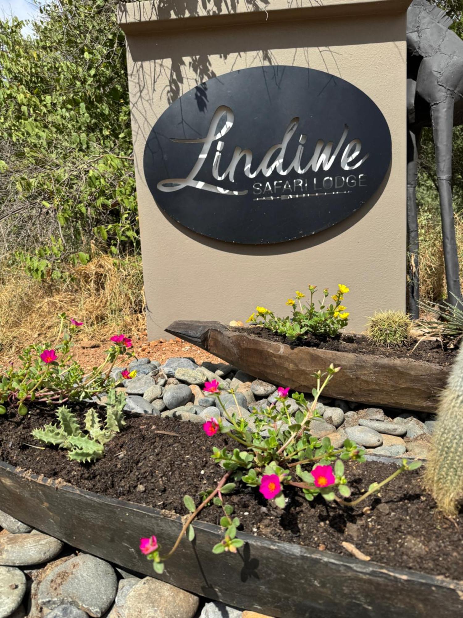 Lindiwe Safari * Hoedspruit